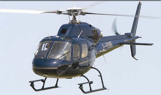 Image of Squirrel Ext